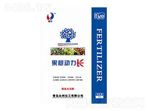 �����(d��ng)���L(zh��ng)-���ؠ�