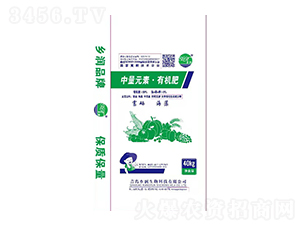 ����Ԫ���ЙC(j��)��-�l(xi��ng)������