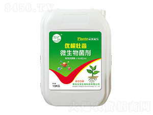 10kg΢�������-��(y��u)������-�l(xi��ng)��(r��n)����