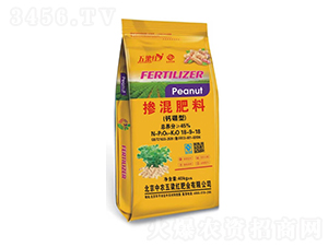 �}���͓������18-9-18-�����t