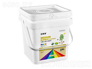 �ЙC(j��)̼�}�V-�f����-�F(xi��n)���r(n��ng)�I(y��)