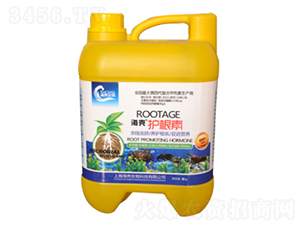 �����o����-��������