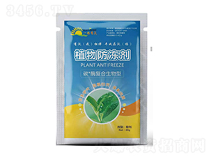 ̼ø��(f��)��������-ֲ�������-���ַ� 