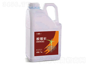 �����L(zh��ng)-�ż�һ