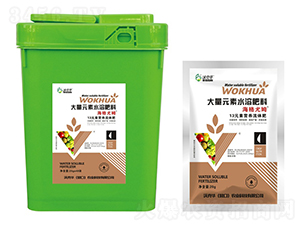 ������ķ13Ԫ�ؠI�B(y��ng)���w��-�ֿ��A