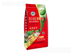 �tɫ���b���嶹��΢�������-��������