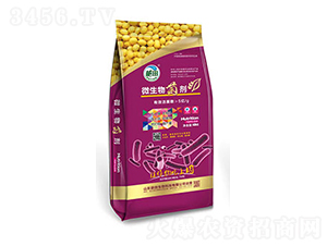 ��ɫ���b΢�������-��������