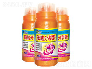 ��(x��)��������-ԣ��߿����� 