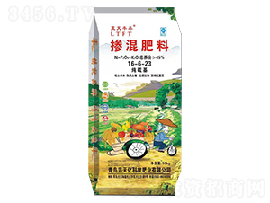 ������������16-6-23-�{���S̩