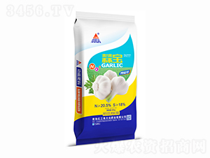 �⌚���ܷ���-�t���Ǵ�