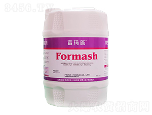 ����ʩ΢�������