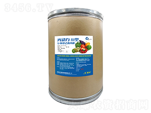 5-������������-�����III��-������