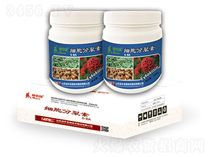 ��(x��)�������ؽM��-��(zh��n)܇ 