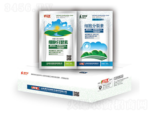 ��(x��)�������أ��У�-��(zh��n)܇ 