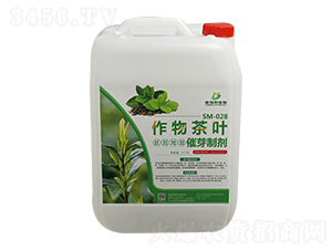 SM-028������~��ѿ�Ƅ�-�ΰ�������