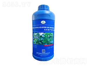 SM-038A�󶹳����Y(ji��)�v���������L(zh��ng)���a(ch��n)�Ƅ���1000ml��-�ΰ�������