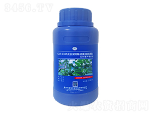 SM-038A�󶹳����Y(ji��)�v���������L���a(ch��n)�Ƅ���250ml��-�ΰ�������