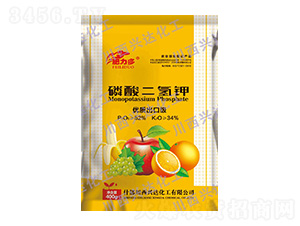 ���ڼ�(j��)��������-������-�����d�_(d��)����