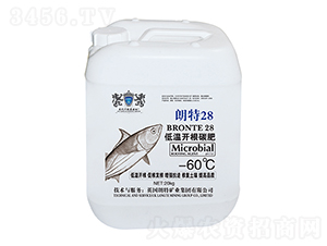 �͜��_��̼��-����28-Ӣ����