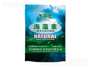 1000g������-Ӣ����