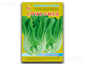 ��ƺ����������-��˷N��-�}�ʷN�I(y��)