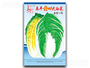 ���S�S�Ĵ�ײ�-�ײ˷N��-�}�ʷN�I(y��)