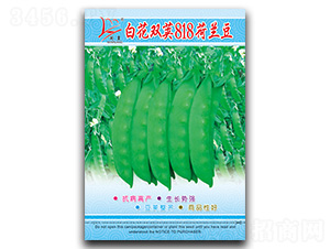 �׻��p�v818-���m���N��-�}�ʷN�I(y��)