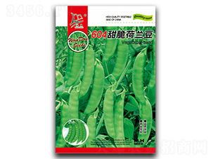 604�����m��-���m���N��-�}�ʷN�I(y��)