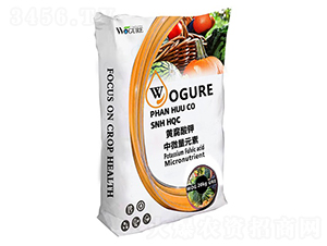 �S�������΢��Ԫ��-�ָ���