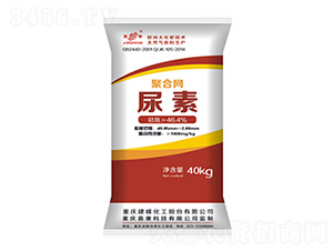 �ۺϾW(w��ng)����-����