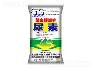 ����⛼��\-����