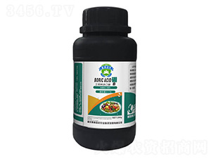 ������-��̩����