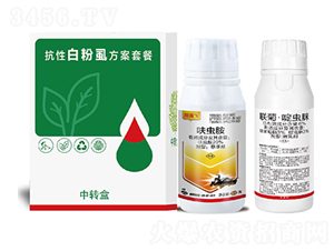 ���԰׷�ʭ�����ײ�-�Z�_��