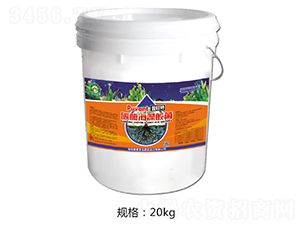 ̼ø�������-������-�W���S