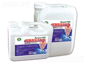 ̼ø��������أ���������-������-�W���S