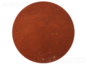 �_ʩ�ʷʣ���ĩ��-�W���S