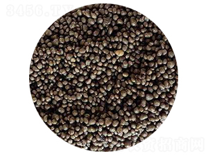 ��(f��)�Ϸ��ϣ��w����-�W���S