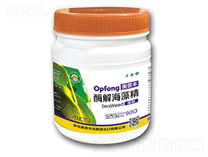 ø�⺣�徫-�W���S