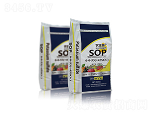 �r(n��ng)��ʩˮ�������-0-0-53+��45SO3��-����