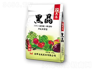 �_ʩ�ι��ͺھ�-����-�ƺ�