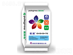 �M(j��n)�ڸߝ�ȏ�(f��)�Ϸ���19-19-19+TE-��(��i)��-�ƺ�