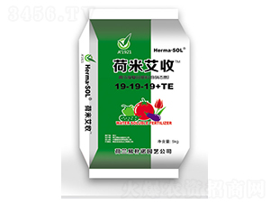 �ߝ�ȏ�(f��)�Ϸ���19-19-19+TE-���װ���-�ƺ�