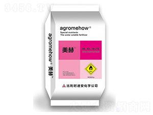 �ߝ�ȏ�(f��)�Ϸ���30-10-10+TE-����-�ƺ�