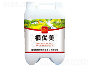 ����(y��u)��-��(y��u)�{��