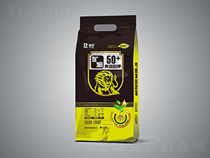 �V�|Դ�S�����-�����r�I(y��)