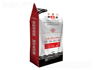 ����Ԫ��ˮ�ܷ���19-19-19+TE-�P��-�P�����d