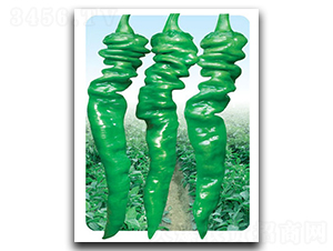 ����-�ݽz���N��-��̩