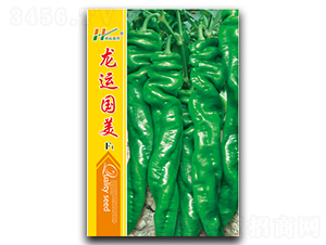 ���\(y��n)��(gu��)��-�ݽz���N��-��̩