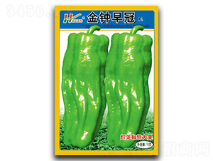 ������-��Ƥ���\���N��-��̩