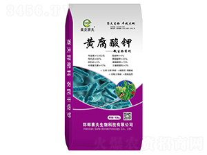 �S����⛾���-����ِ��